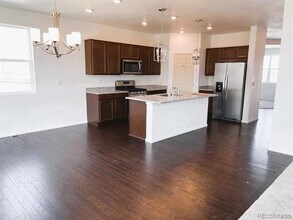 517 Silver Rock Trl in Castle Rock, CO - Building Photo - Building Photo