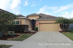 11407 Camden Yard Ln in Fish Hawk, FL - Building Photo