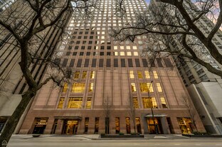 161 E Chicago Ave in Chicago, IL - Building Photo