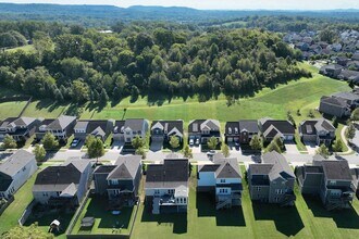1038 Amelia Park Dr in Franklin, TN - Building Photo - Building Photo