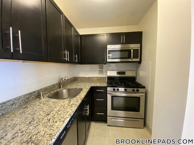 175 Freeman St in Brookline, MA - Building Photo - Building Photo