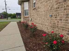 1315 Auldridge Dr in Christiana, TN - Building Photo - Building Photo