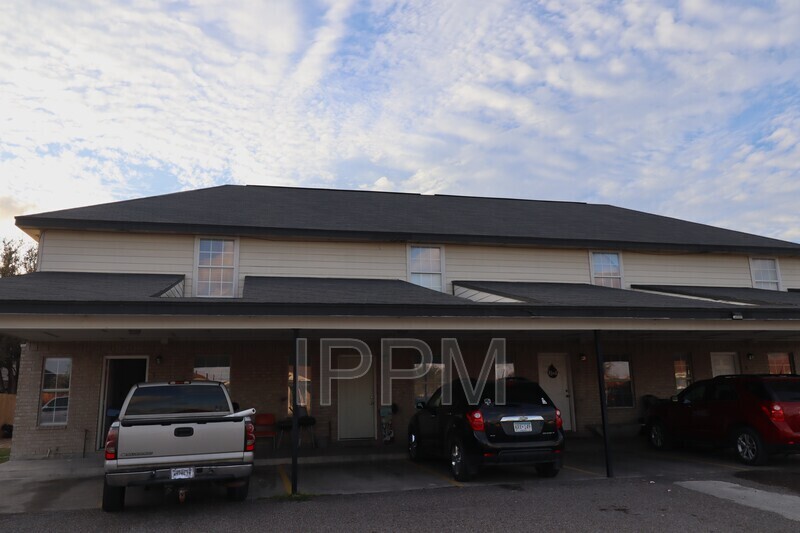 809 S Michigan St in Alton, TX - Building Photo