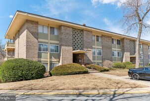 7200 Donnell Pl in Forestville, MD - Building Photo