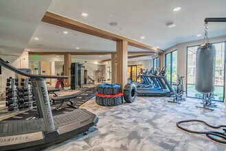 777 E Stella Ln in Phoenix, AZ - Building Photo - Building Photo
