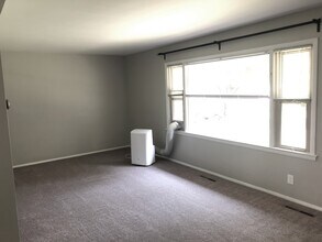 518 W Hoover Ave in Ann Arbor, MI - Building Photo - Building Photo