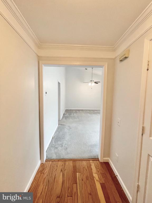 2800 Emma Lee St in Falls Church, VA - Building Photo - Building Photo