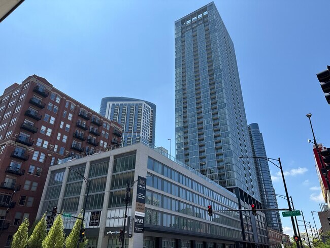 369 W Grand Ave in Chicago, IL - Building Photo - Building Photo