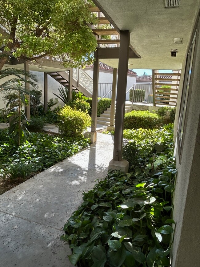 3429 Legato Ct in Pomona, CA - Building Photo - Building Photo