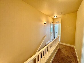 5850 Dripping Rock Ln in Fort Collins, CO - Building Photo - Building Photo