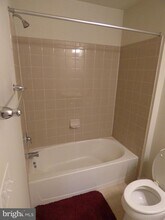 42638 New Dawn Terrace in Ashburn, VA - Building Photo - Building Photo