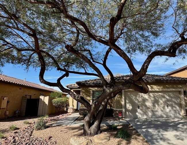 10850 W Avenida del Rey in Peoria, AZ - Building Photo - Building Photo