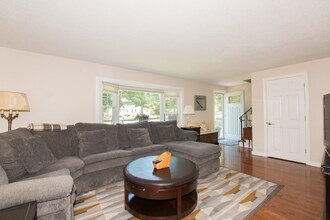 79 North St in Mansfield, MA - Building Photo - Building Photo