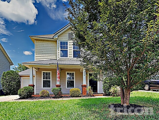 445 Amir Cir