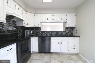 21031 Lemon Springs Terrace in Ashburn, VA - Building Photo