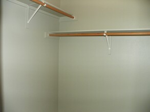 133.135 Marvin Cove in Hutto, TX - Building Photo - Building Photo