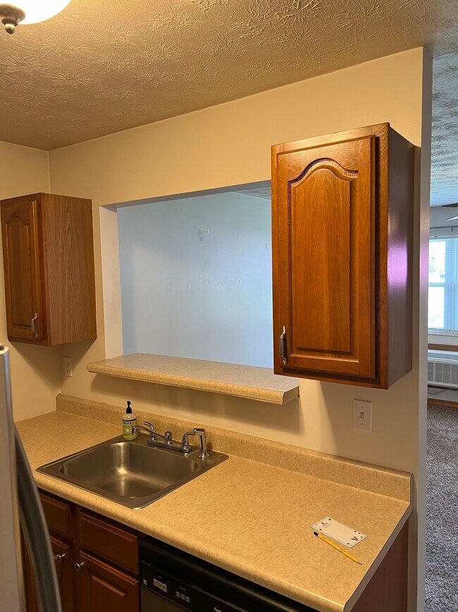 1100 Locust Dr in Huntington, WV - Building Photo - Building Photo