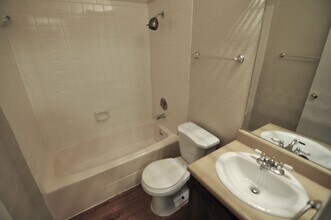 11300 Nicole Cove in Austin, TX - Building Photo - Building Photo