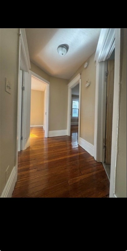 42 Curtis St in Rochester, NY - Building Photo - Building Photo