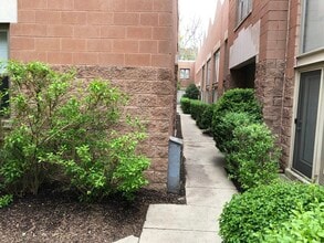 1100 W Cornelia Ave, Unit 120 in Chicago, IL - Building Photo - Building Photo