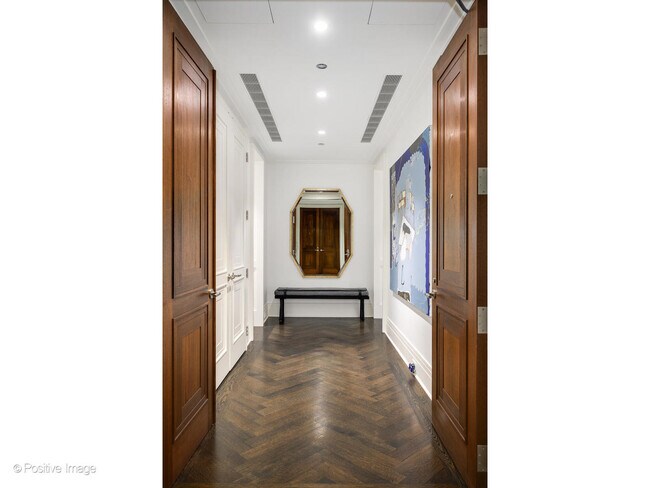 159 E Walton Pl in Chicago, IL - Building Photo - Building Photo