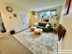 172 River St in Waltham, MA - Building Photo