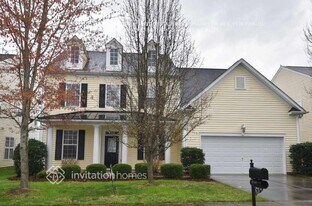 14319 Pintail Landing Ln in Charlotte, NC - Building Photo