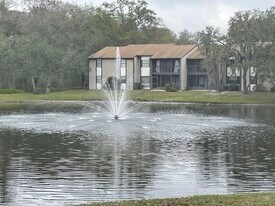 11550 Baywood Meadows Dr, Unit 11550Baywood7 in New Port Richey, FL - Building Photo