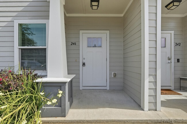 property at 246 N Sand Palm Rd