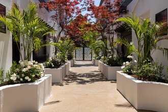 Vista Paradiso in Studio City, CA - Foto de edificio - Building Photo