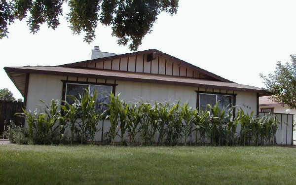 1380 Canal in Turlock, CA - Foto de edificio - Building Photo