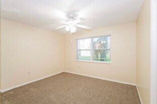 3447 Brian Rd S in Palm Harbor, FL - Building Photo