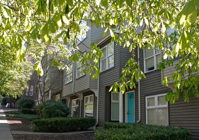 Pardee Townhomes