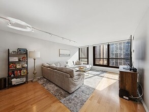 1030 N State St, Unit 55 in Chicago, IL - Foto de edificio - Building Photo