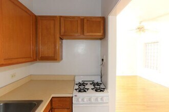 1167 N Dearborn St in Chicago, IL - Building Photo - Building Photo