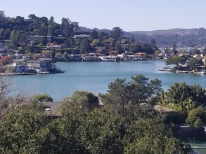 Lyford Drive Apartments in Tiburon, CA - Building Photo - Other