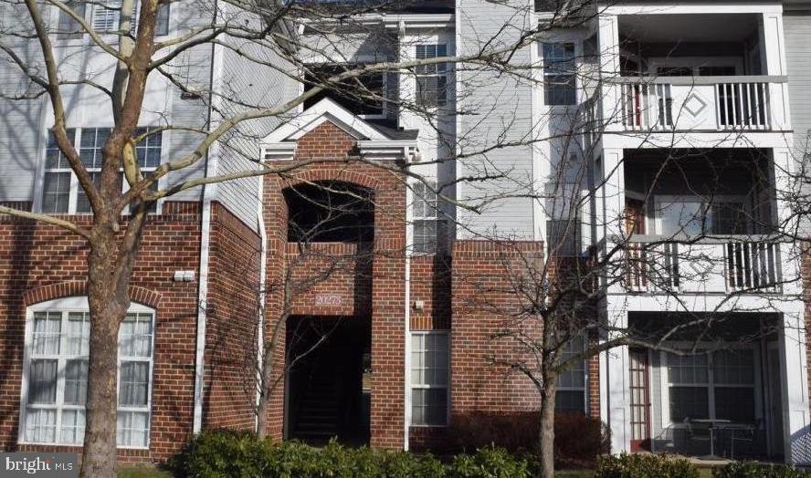 20273 Beechwood Terrace in Ashburn, VA - Building Photo