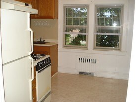 234 S Ridge St in Rye Brook, NY - Building Photo