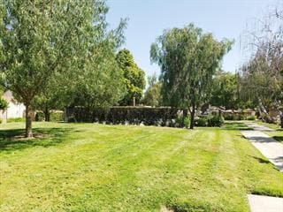 10231 Parish Pl in Cupertino, CA - Building Photo - Building Photo