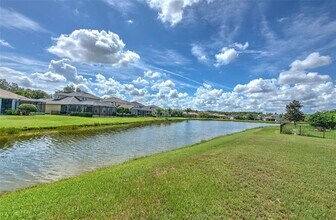 8938 Westerland Dr in Land O Lakes, FL - Building Photo - Building Photo