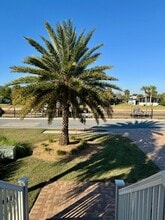 23 Walker Creek Dr in Crawfordville, FL - Building Photo - Building Photo