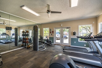 Acasa Plantations at Pine Lake in Tallahassee, FL - Building Photo - Building Photo
