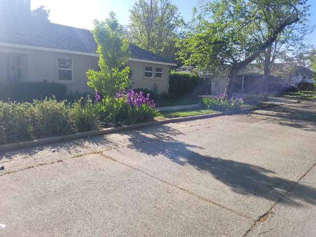 360 W Highland Ave in Tracy, CA - Building Photo - Building Photo