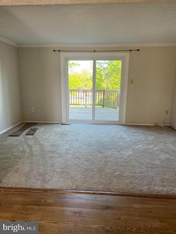 property at 11702 Zebrawood Ct