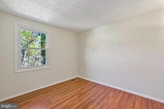 3737 Castle Terrace in Silver Spring, MD - Building Photo - Building Photo