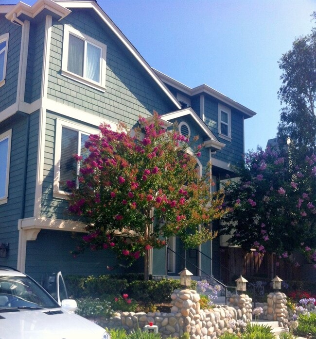 property at 805 Lippert Pl