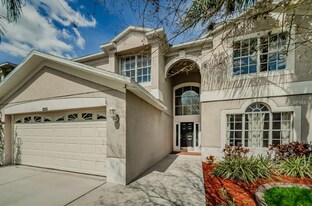 8055 Spirit Ct in Trinity, FL - Building Photo