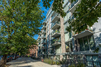 Ocean Avenue Condominiums in Brooklyn, NY - Foto de edificio - Building Photo