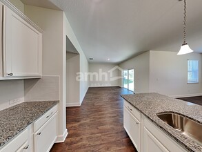 33841 Night Lily Dr in Zephyrhills, FL - Building Photo - Building Photo