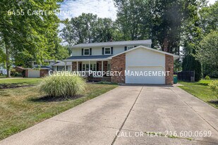 6455 Carter Blvd in Mentor, OH - Building Photo
